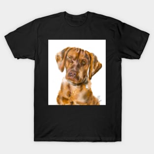 A Vizsla Puppy T-Shirt